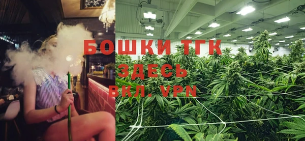 герыч Иннополис