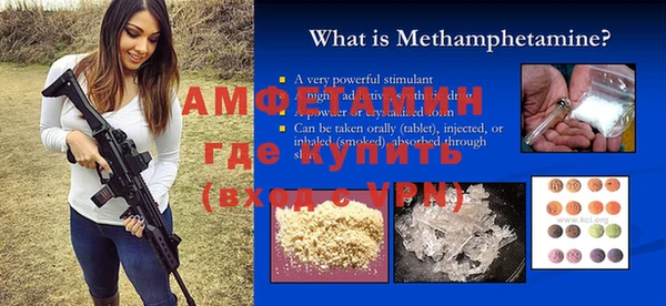 стаф Каменка