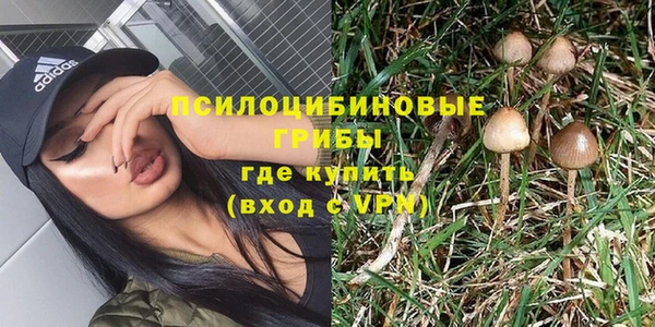 дмт Инта