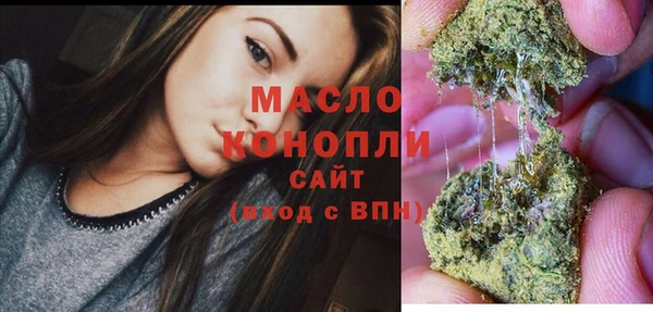 дмт Инта